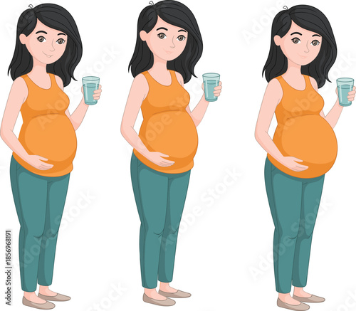 Pregnancy Stage Illustration – Three Identical Figures Showing Progressive Belly Growth with Water Glass for Maternal Health, Prenatal Care, and Education