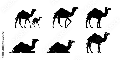 Sacred Desert Camel Silhouettes Symbolizing Ramadan Spirit and Ancient Journeys