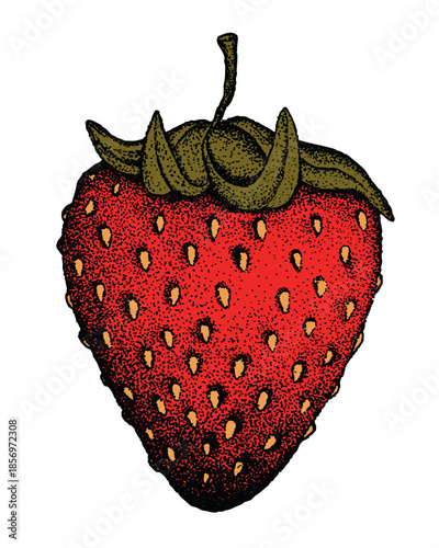 Strawberries, wild strawberries, fruits. Ripe sweet berries. Сlipart desing. Strawberries silhouette vector illustration. Natural delicious fresh ripe tasty fruit. Food concept.