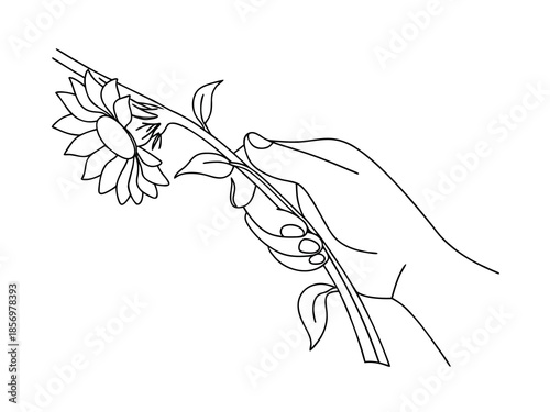 Simple Flower Hand Drawing