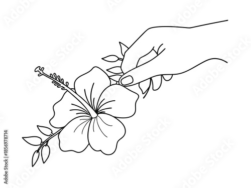 Flower and Hand Drawing