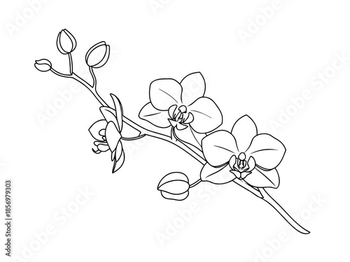 Simple Flower Branch Design