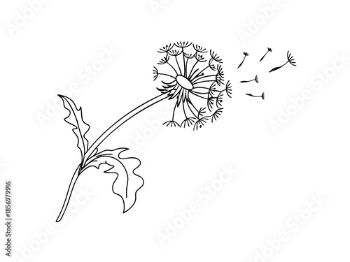 Simple Flower Design Sketch