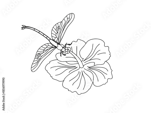 Simple Flower and Insect