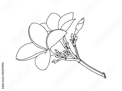 Simple Flower Temple Design