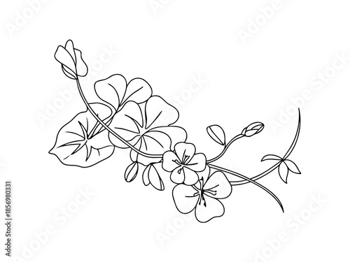 Temple Flower Branch Design