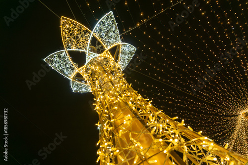 Decoration on the streets of the Christmas market in Craiova Romania