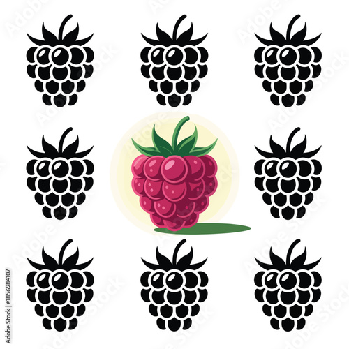Vibrant raspberry cluster surrounded by blackberries - flat food illustration