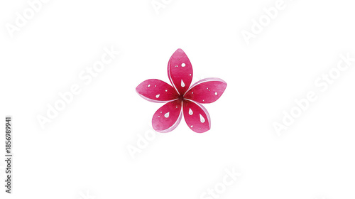 Pink plumeria flower with water droplets isolated on transparent background, tropical blossom, fresh, vibrant, and natural beauty for design or decoration