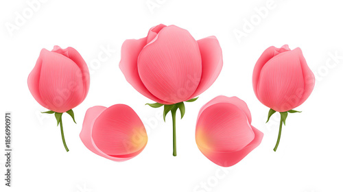 Pink rose bud delicate petal floral arrangement romantic mood soft texture botanical illustration nature beauty spring bloom garden flower elegant design