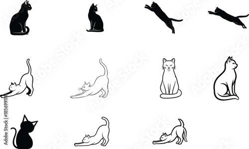 Cat silhouettes and outlines in various poses
