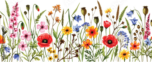 Vibrant Watercolor Illustration of a Colorful Wildflower Meadow Border