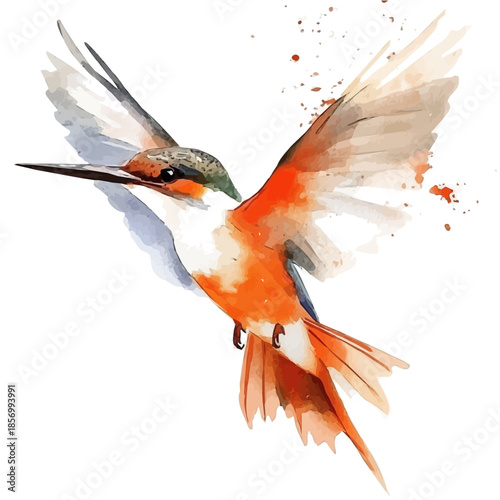 Kingfisher, watercolor illustration featuring soft shadows and luminous, isolated on a white background.