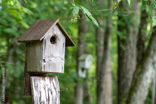 Фотография Bird House, Pisgah Forest, NC