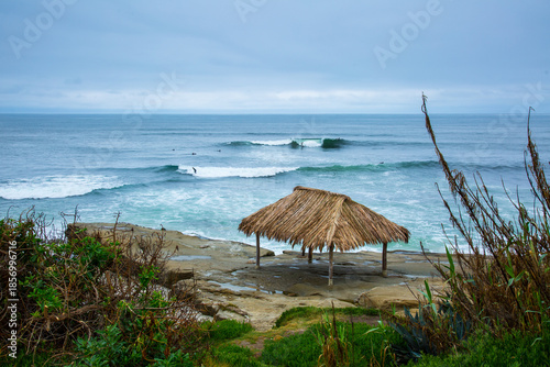 Surfing along the La Jolla Cove shores