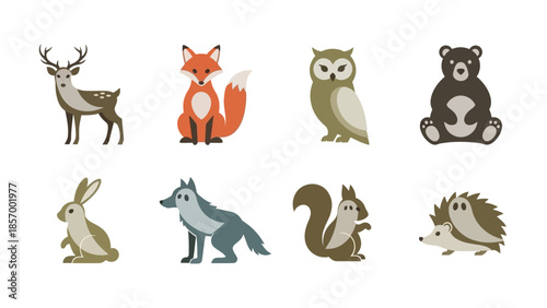 Cartoon forest animals collection vector illustrations for design projects