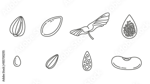 Outlined seeds collection diverse plant seeds and natural elements