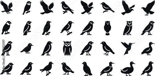 Collection of various bird silhouettes in different poses and species