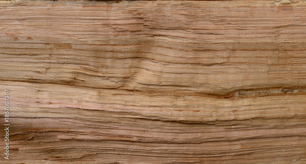 Fototapeta premium Natural wood texture with rough cracked surface