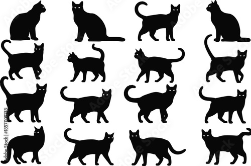 Set of cat silhouettes sitting walking and standing domestic feline pet animal silhouettes cad drawing flat vector illustration for design