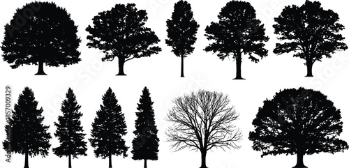 Set of diverse tree silhouettes including oak pine spruce and deciduous trees cad drawing flat vector illustration for architectural landscape