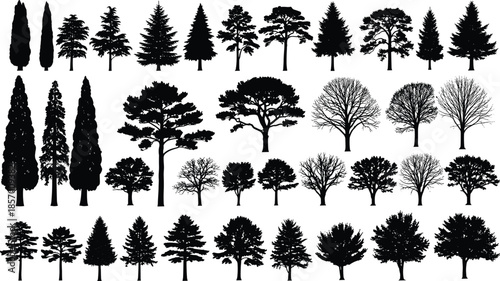 Set of forest tree silhouettes pine spruce and deciduous trees cad drawing flat vector illustration for architectural landscape environment design