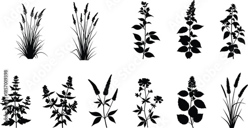 Set of garden plant silhouettes wild grass and leaf branch silhouettes cad drawing flat vector illustration for architectural landscape design