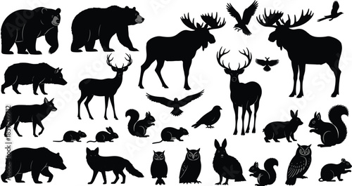 Set of wild animal silhouettes bear moose deer fox and forest birds cad drawing flat vector illustration for nature landscape design
