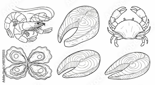Assortment of fresh seafood line art illustration.