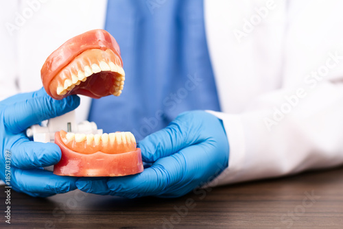 Bild auf Leinwand Dental specialist demonstrating anatomical jaw, dental prostheses, oral rehabili