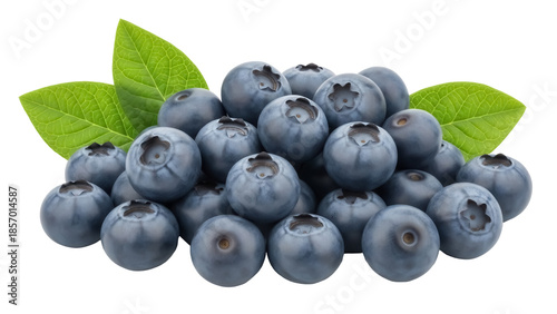 Quadro em tela Pile of fresh blueberries isolated PNG, ripe and juicy fruit with green leaves o