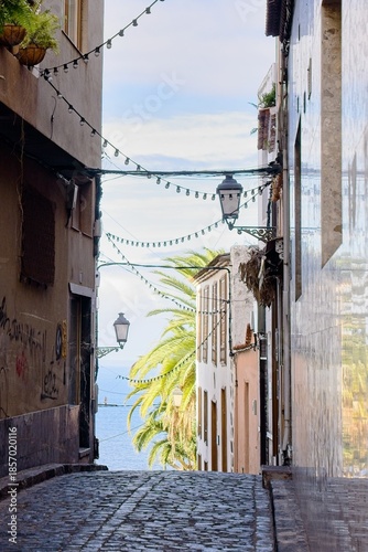 Narrow cobbled street with ocean view