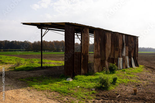 Rusty Shack in an Open Field