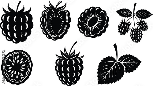 Line art high contrast berry icons set showing raspberry blackberry mulberry leaves and cross section views isolated on white background vintage botanical silhouette vector pack collection