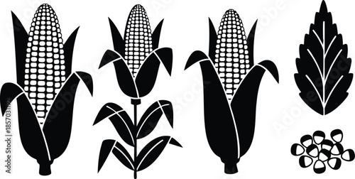 Flat design black silhouette corn cobs with leaves kernels and ear icons arranged in row agricultural icon set minimalist bold close up three ears isolated composition