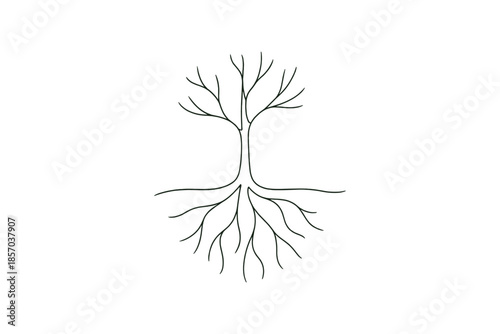 Minimalist line art of a bare tree with visible roots on a white background