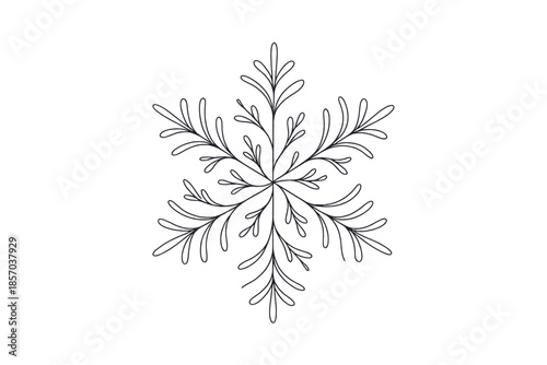 Elegant black and white snowflake illustration with delicate branching patterns