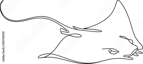 Stingray fish, sea fox continuous line drawing. One line art of predatory fish, seafood, marine animals, one line Art icon drawing