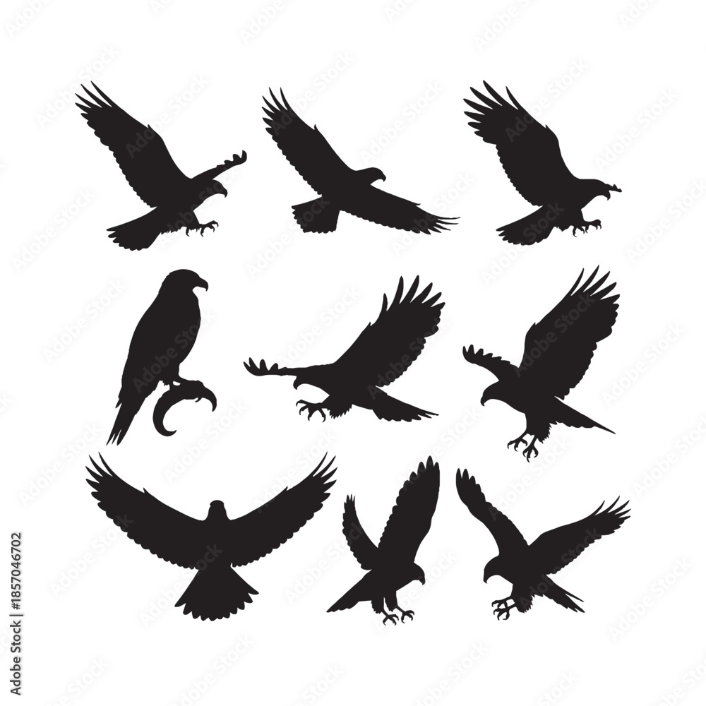 Fototapeta premium Eagles and Hawks Silhouettes Collection