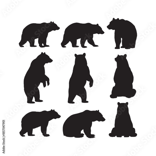 Bears Silhouettes Collection