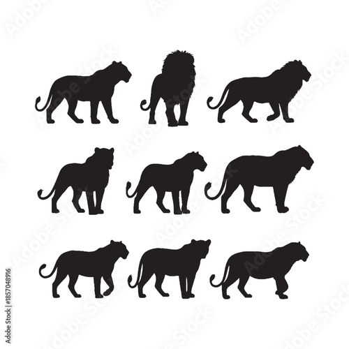 Lions and Big Cats Silhouettes Collection