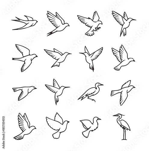 Bird flying black line art