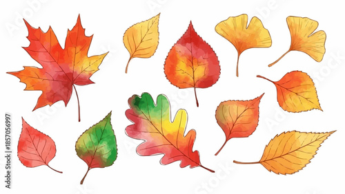 set of autumn leaves
