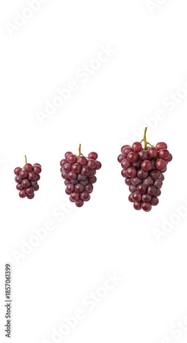 Red Grapes Trio Isolated on Transparent Background