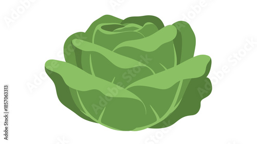 Green Rose Illustration A Close-Up View of a Freshly Grown Vegetable or Flower