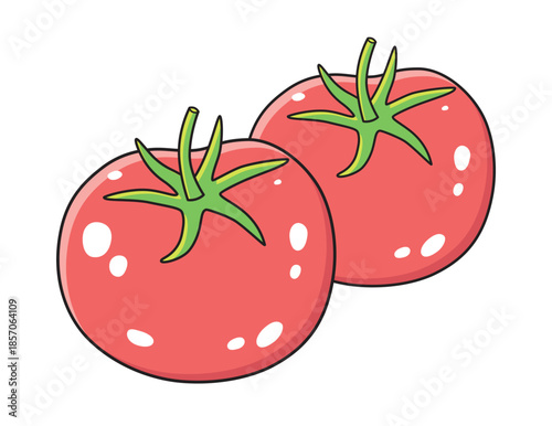 Two red tomatoes illustration isolated vector