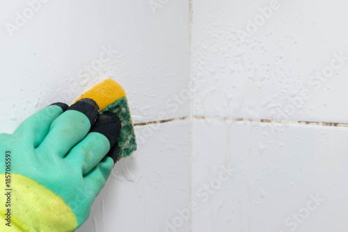 Black mold on bathroom tiles due to dampness. Clean mold using baking soda and a sponge. © Uladzislau