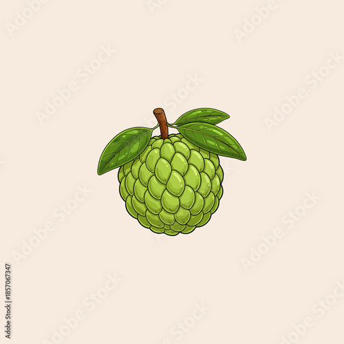 illustration of a green custard apple fruit with leaves icon flat vector design.