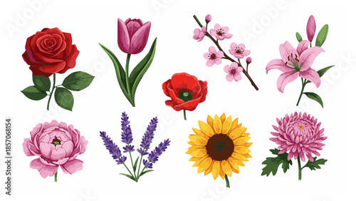 Vibrant collection of eight diverse botanical illustrations showcasing beautiful blooming roses, lilies, sunflowers, and other exquisite garden flowers for design projects