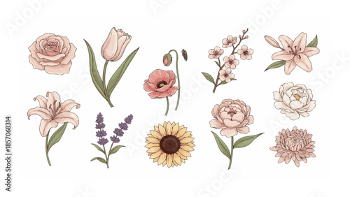 Elegant Floral Collection Assorted Blooms Including Roses, Tulips, Poppies, Lilies, Cherry Blossoms, Sunflowers, Lavender, Peonies, and Chrysanthemums